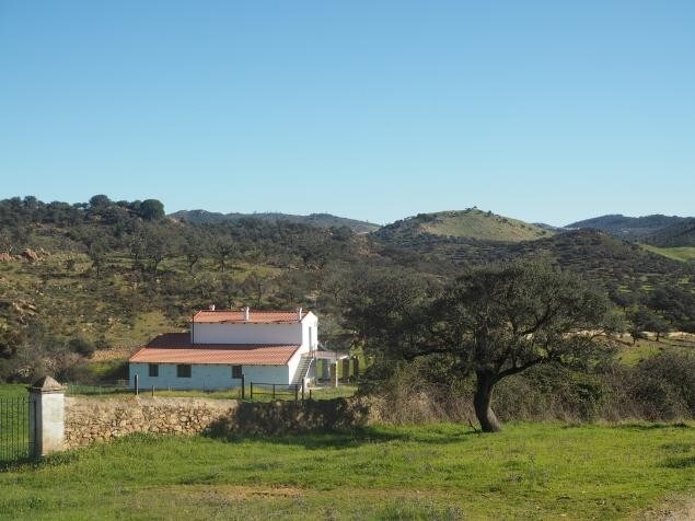 Casa de la Huerta. Planta Baja