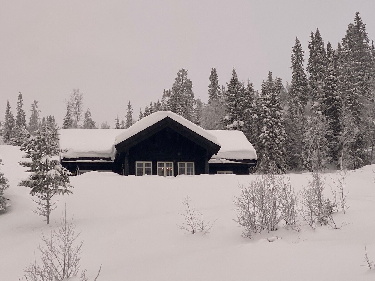 Ny hytte i Aurdal - Valdres - Ski in/Ski out