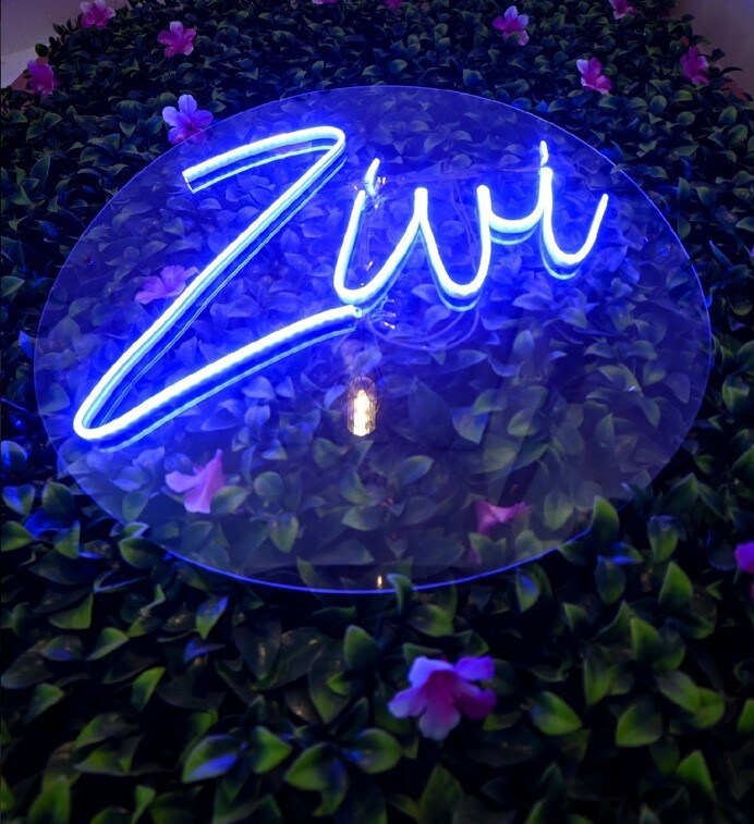 Zivi House