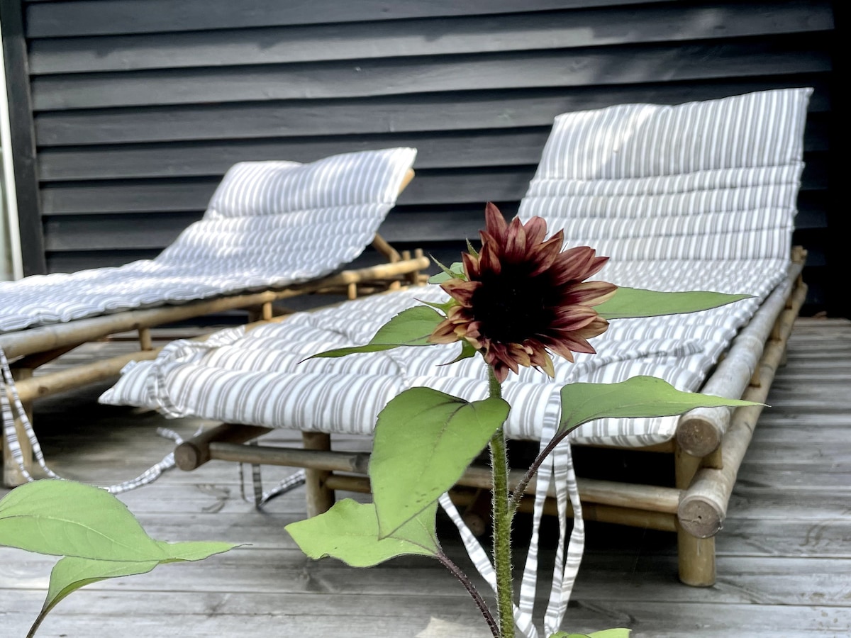 Sommerhus tæt på strand