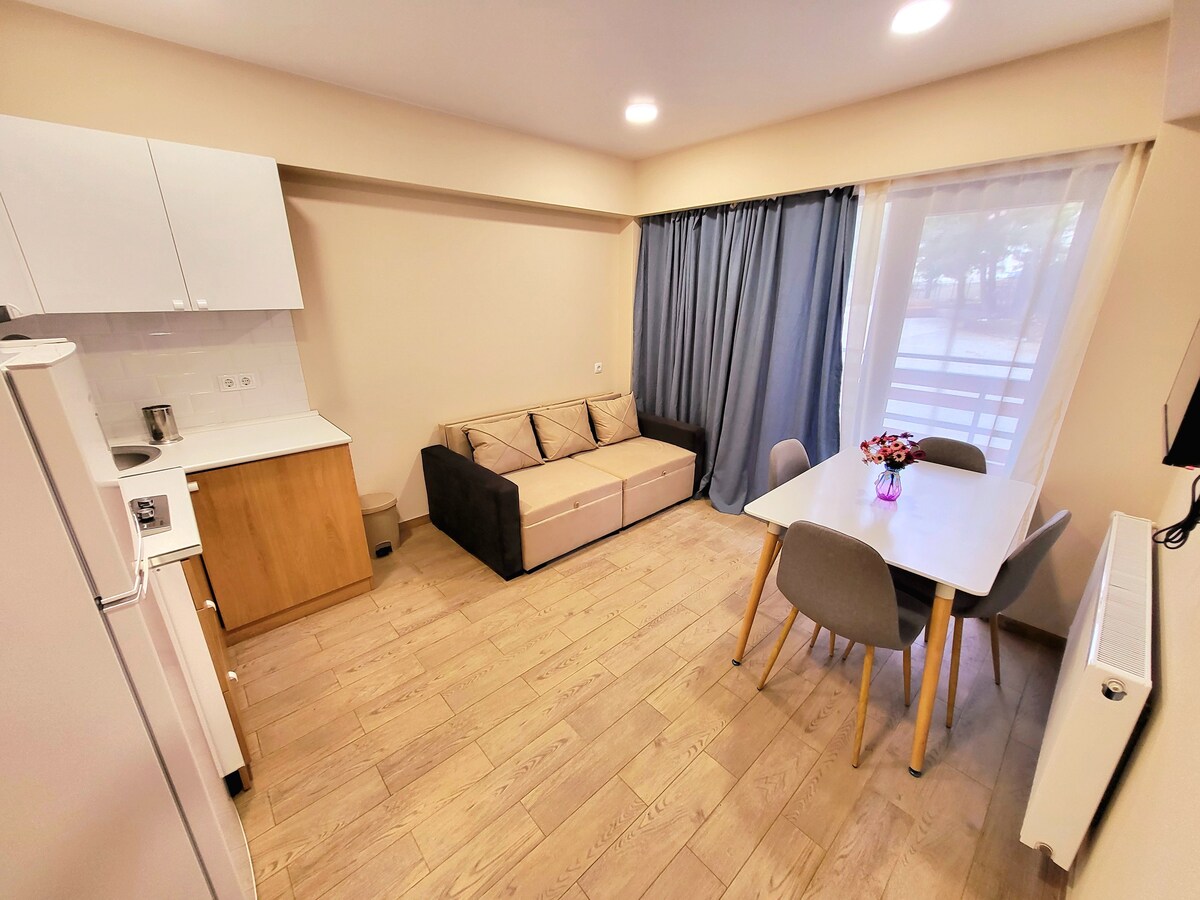 Bakuriani可爱的单卧室公寓
