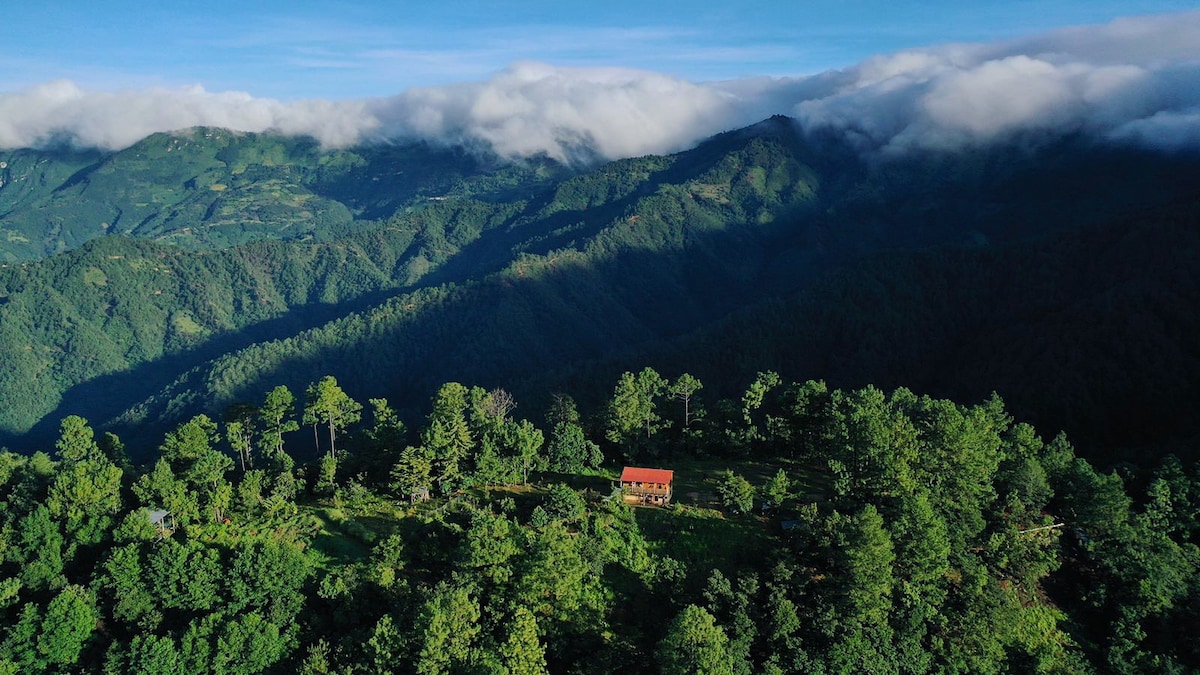 Laberinto del Pacifico: Cloud Cabin & Tree House