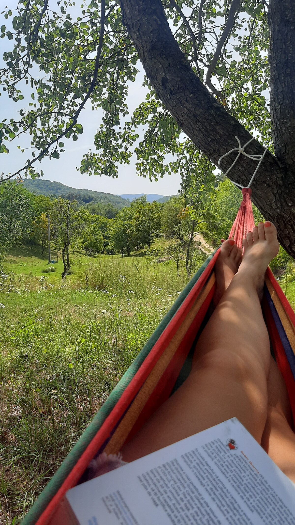 Cabana din lemn cu vedere panoramica