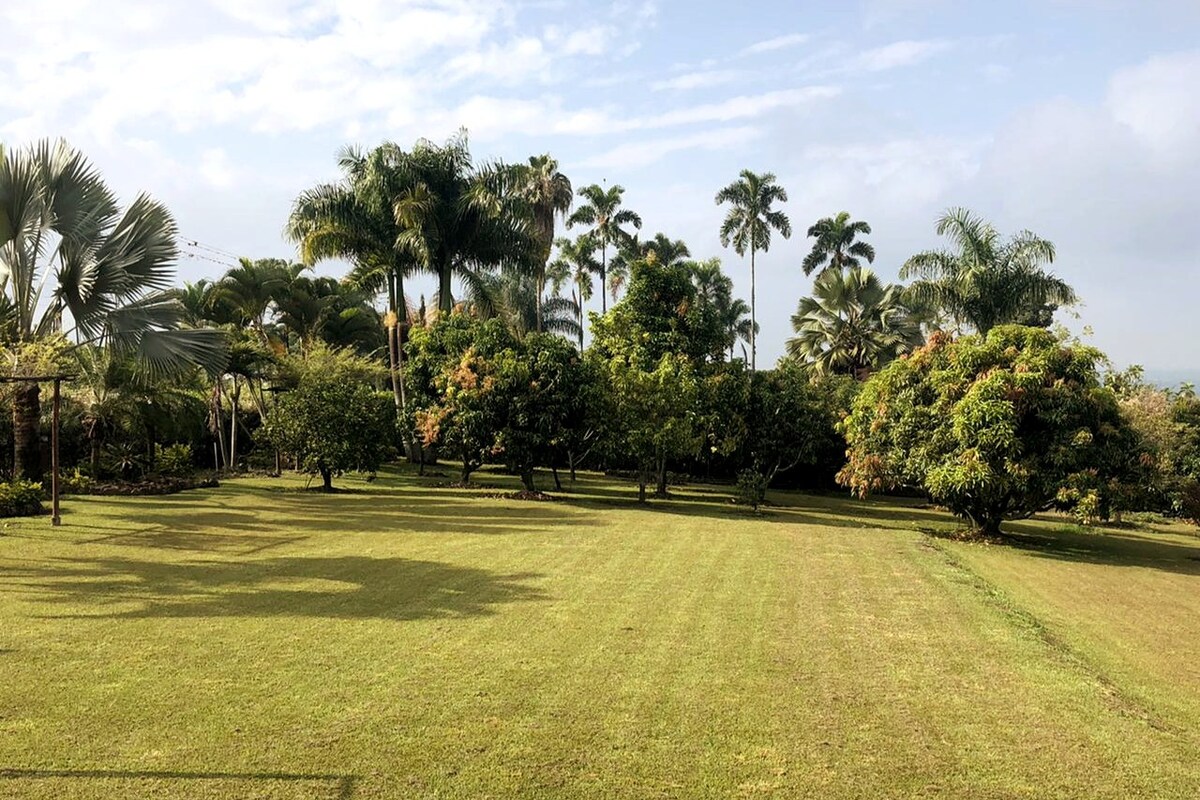 La Castellana: aventura y relax en el mismo sitio