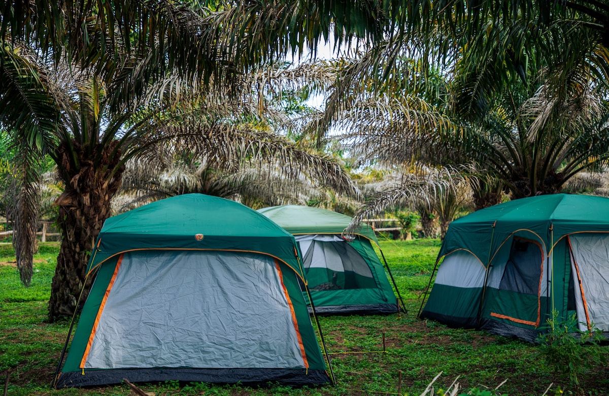 布戈马沙滩（ Bugoma Sand Beach ）的帐篷