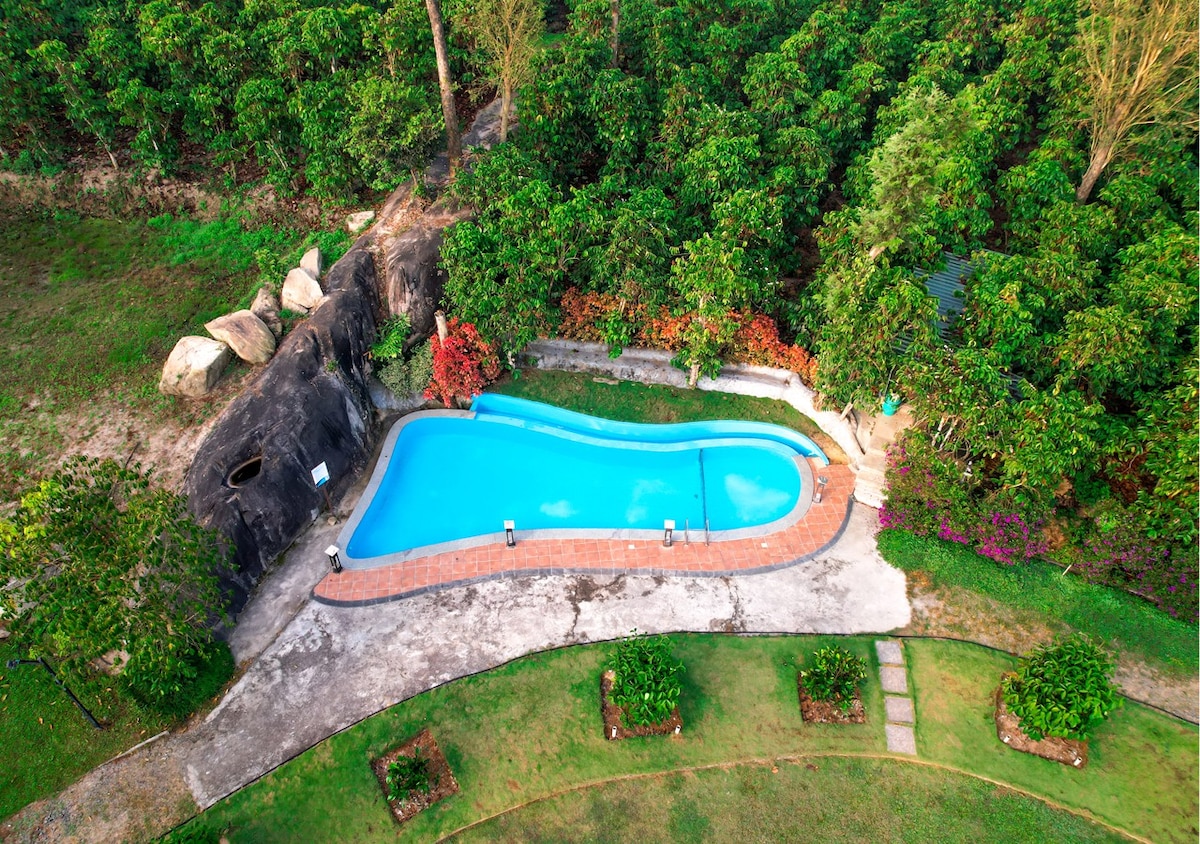 Rock Villa Wayanad Coffee Plantation Resort