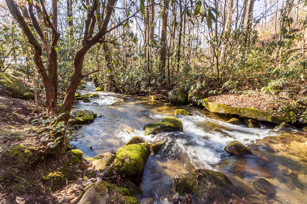 Ole Blue - Table Rock, Sassafras, Keowee, Jocassee