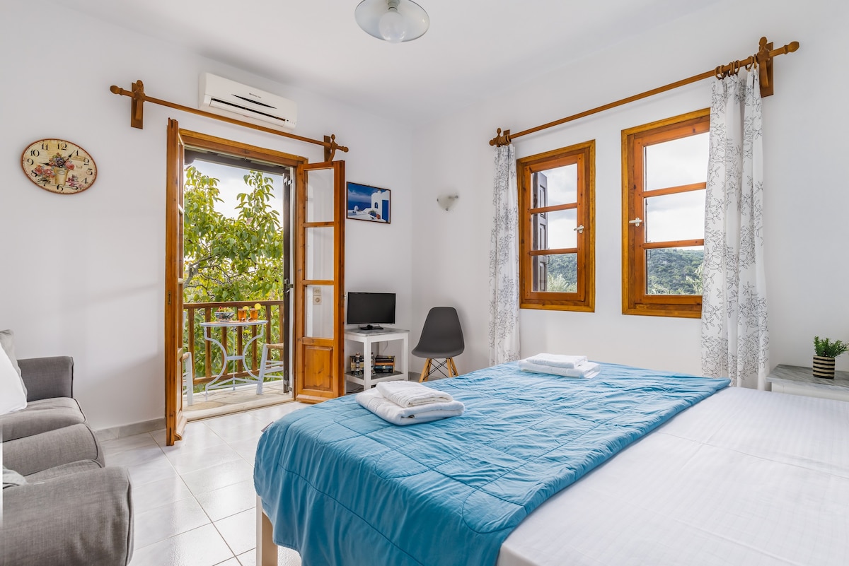 Skopelos Property Apartment 1