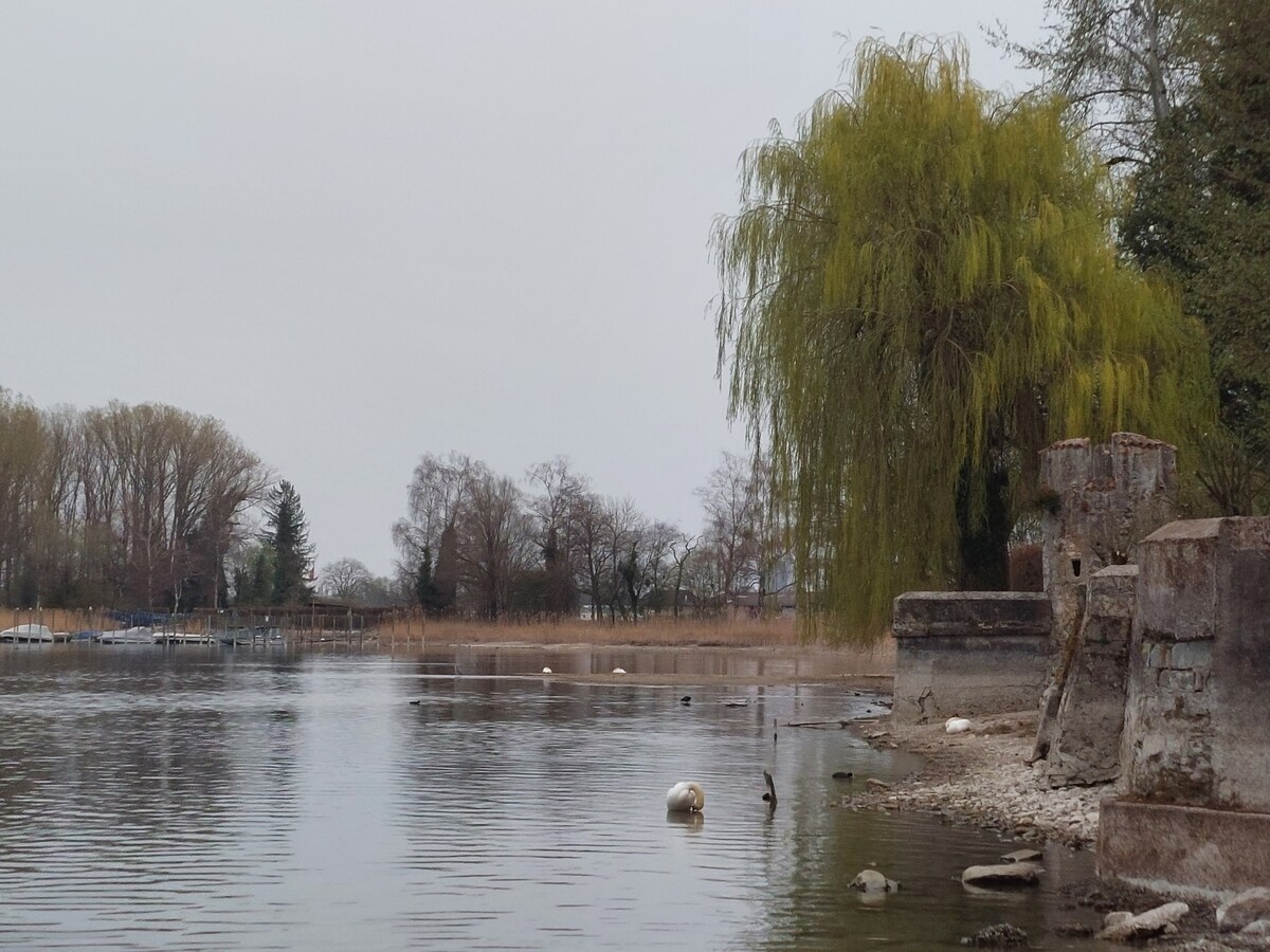 康斯坦茨湖（ Lake Constance ）和莱茵（ Rhine CH ）度假