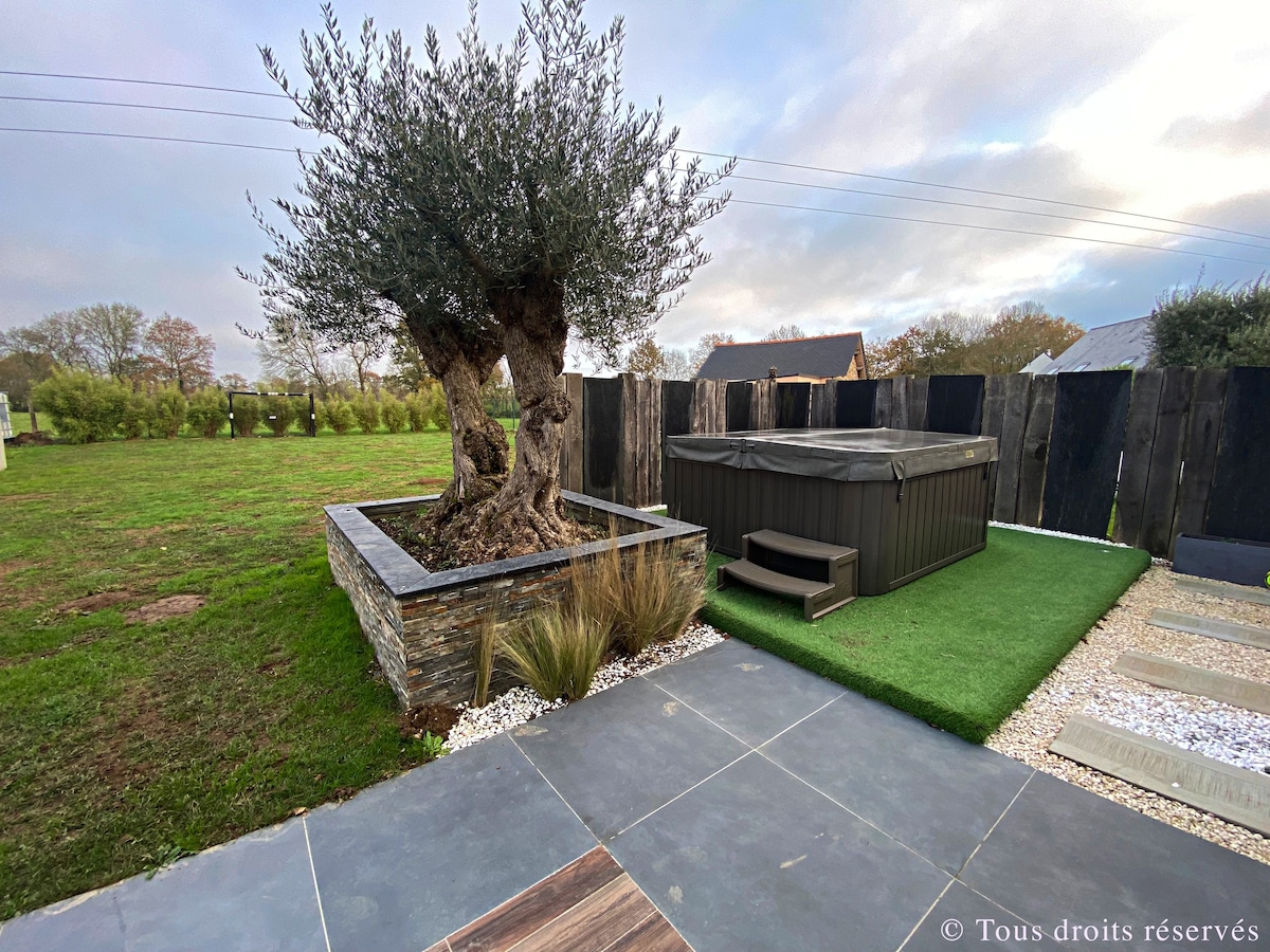 Maison moderne avec jacuzzi