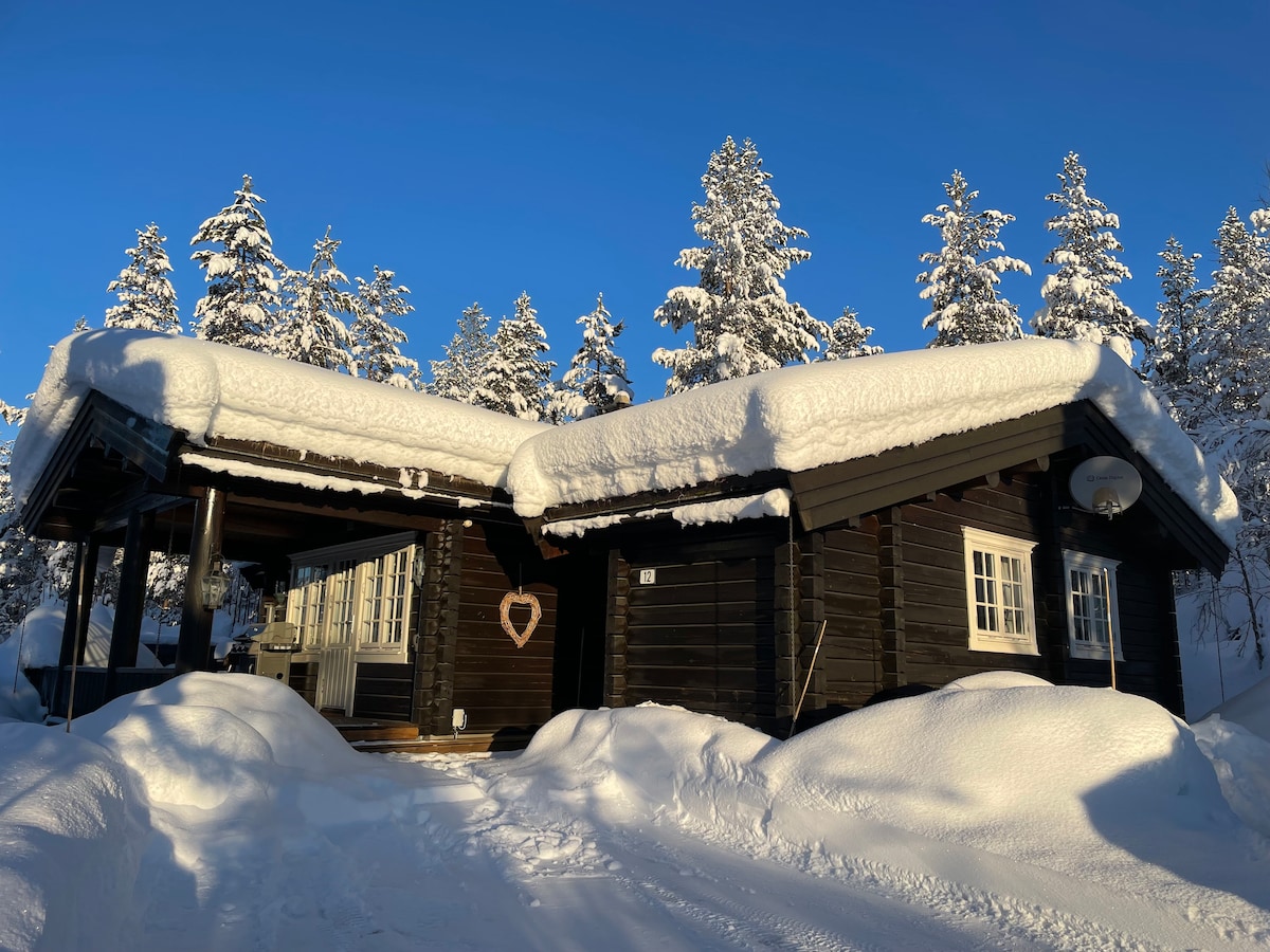 Hellaftet hytte i Hemsedal