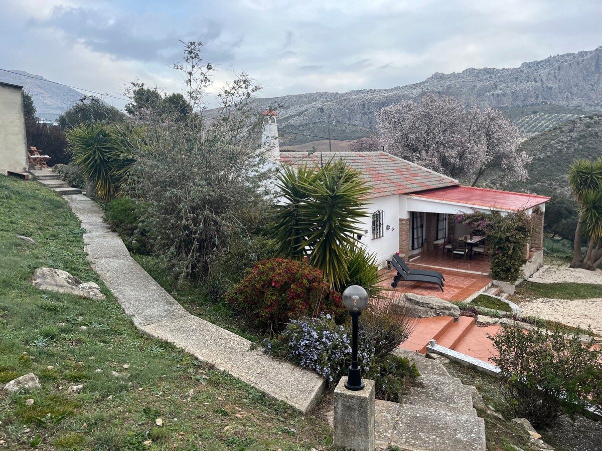 Andalucían serenity at El Torcál