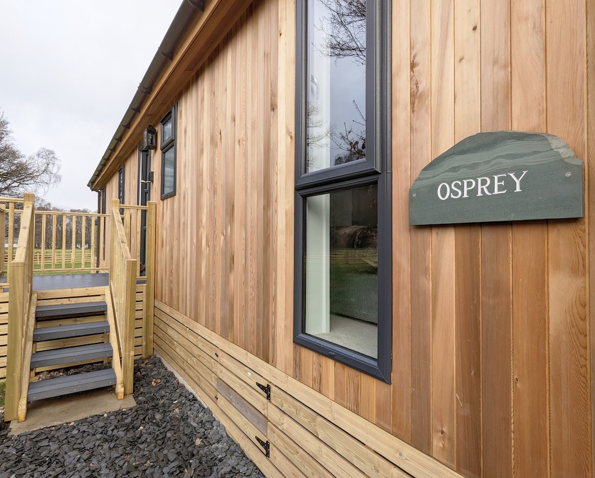 NEW 2023 Lake view Lodge - Osprey