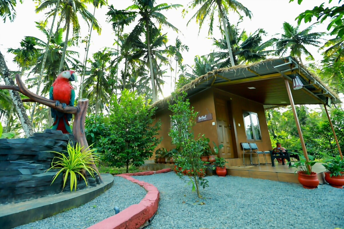 family cottages facing to river