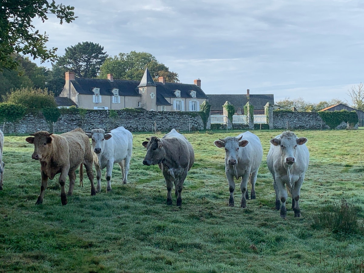 Studio in the Castle :  Le Fief au Duc