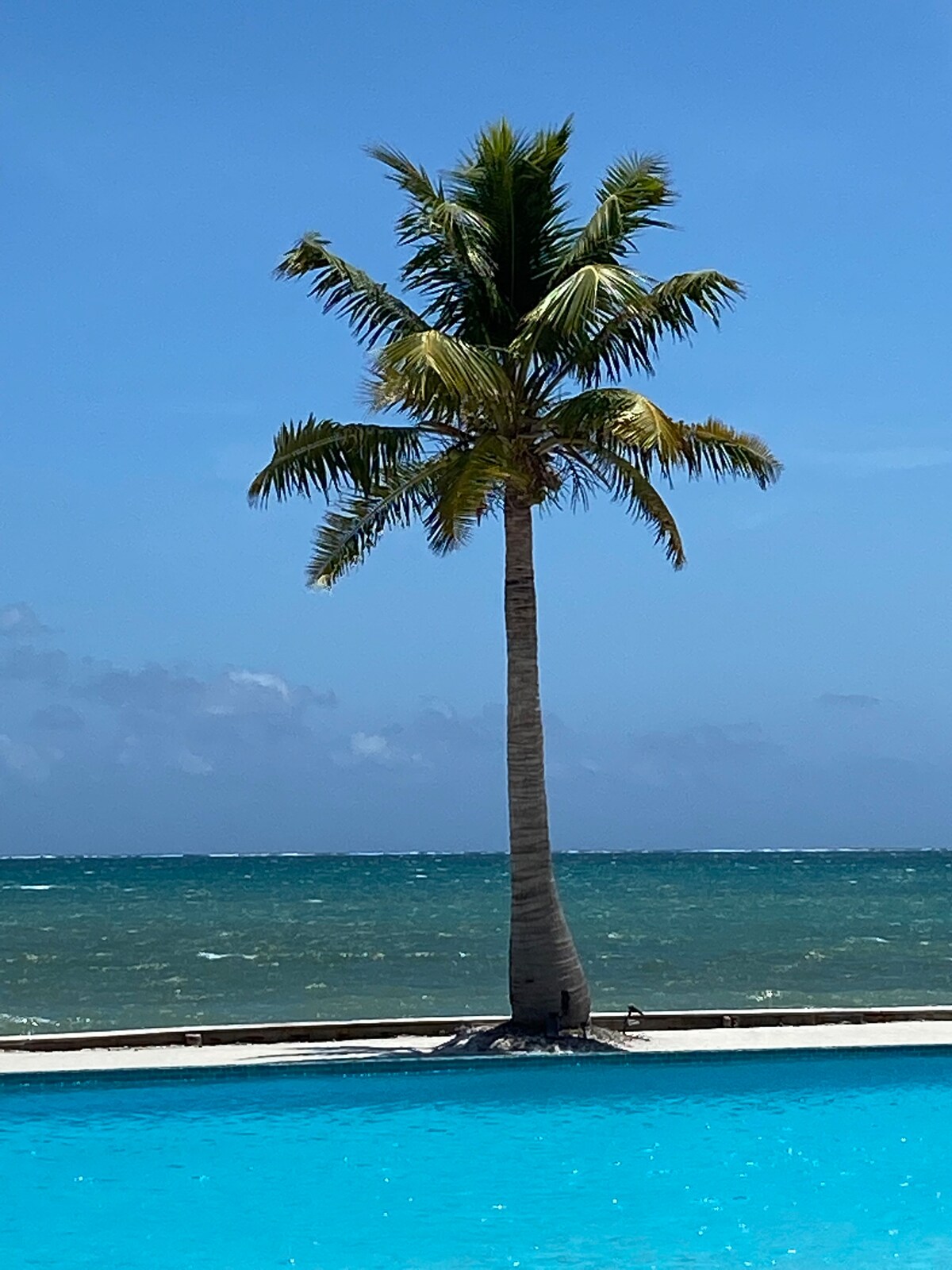 Caye Caulker海滨公寓