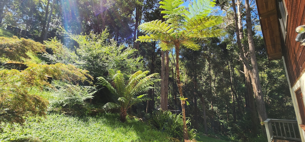 Cottage Cabbage Tree Hollow