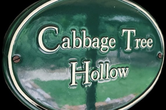 Cottage Cabbage Tree Hollow