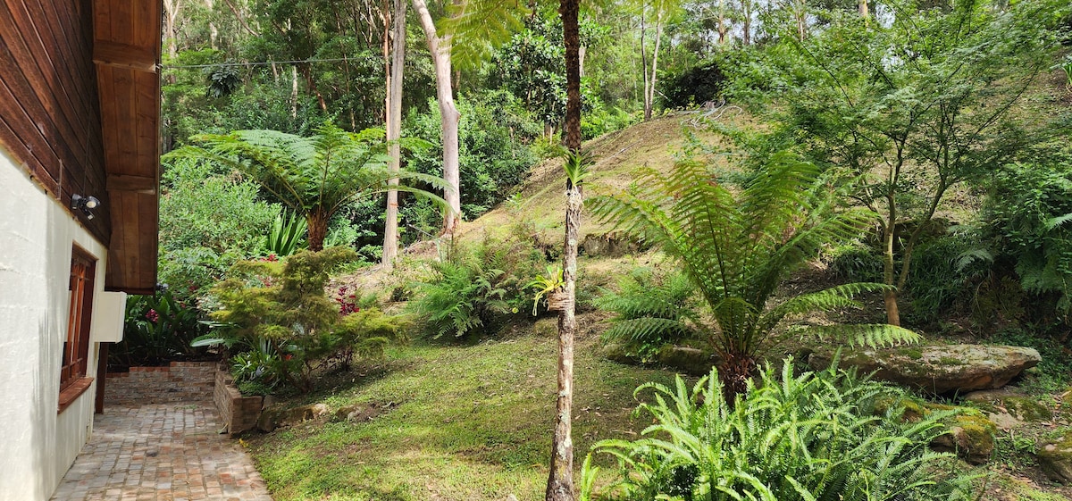 Cottage Cabbage Tree Hollow