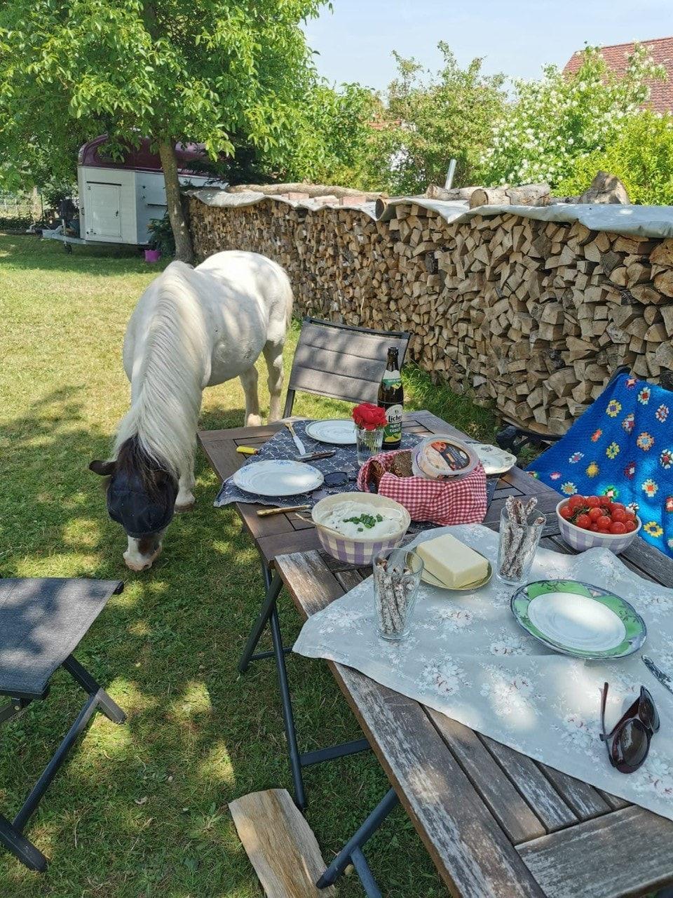 Uriges Ferienhaus mit Ponys in der Rhön