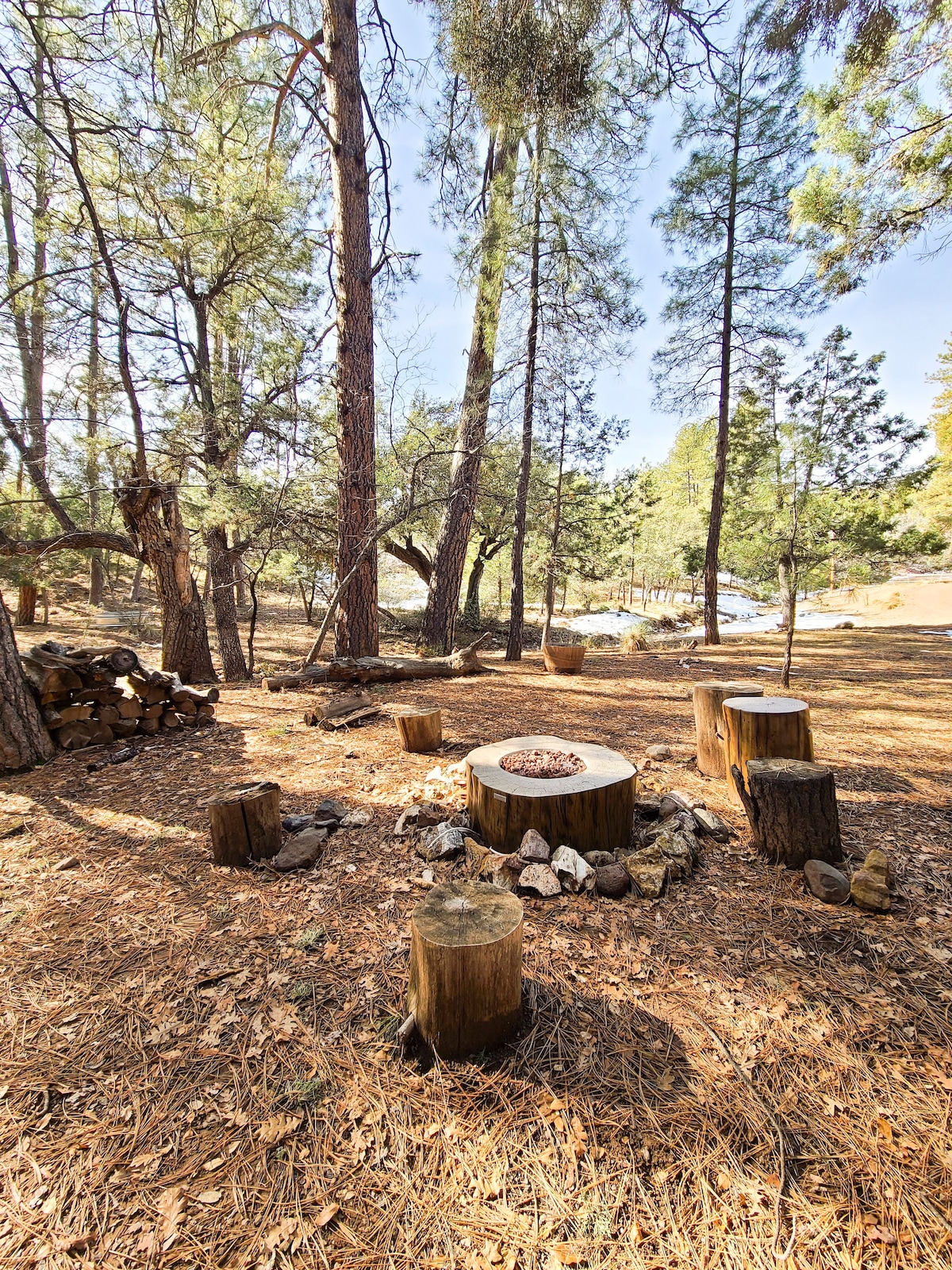 Pet Friendly + Firepit + Grill + Privacy + Nature