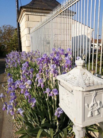 Gîte de charme pour 15 personnes