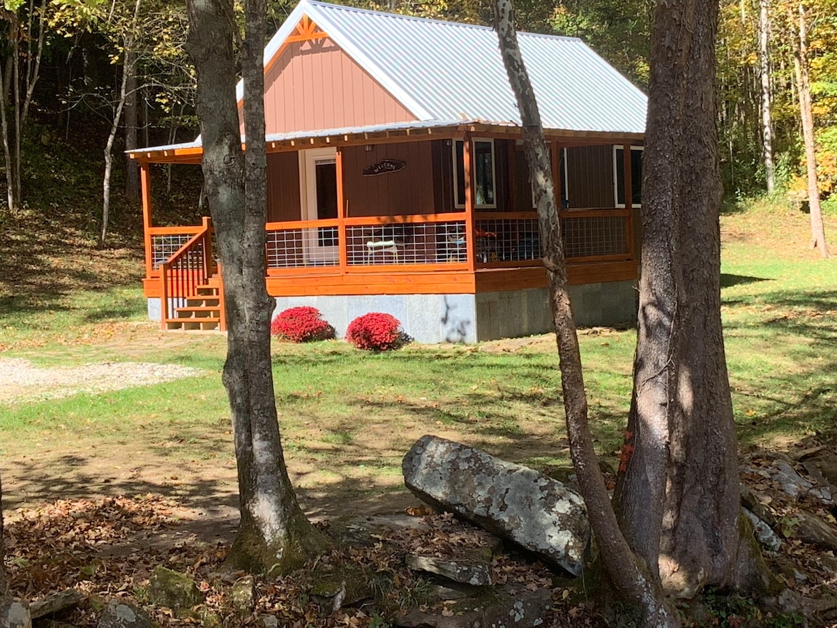 The Cabin on Panther Branch