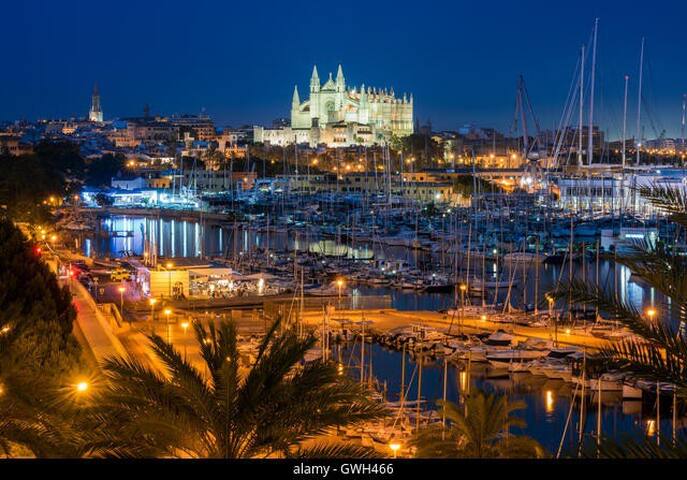 帕尔马(Palma)的民宿