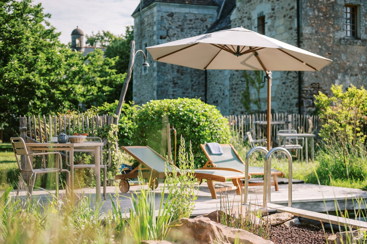 Heart in the Anjou vineyards