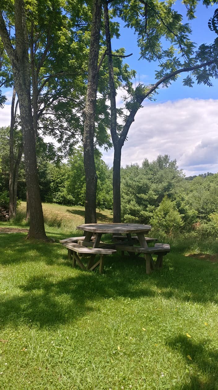 Quiet farmhouse. No pets, Smoke Free