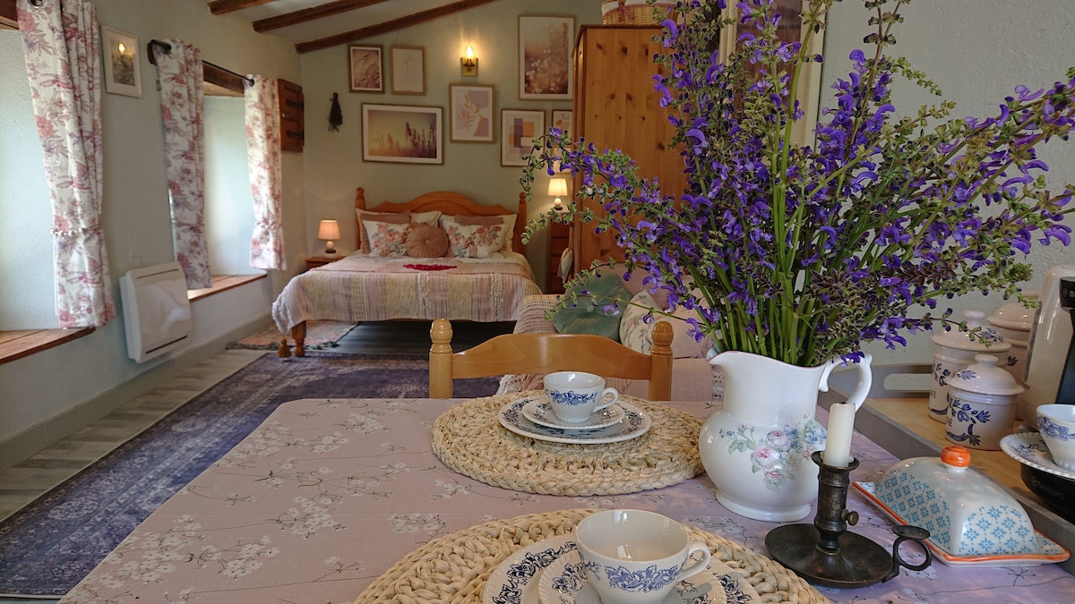 Cosy cottage with swimming pool close to Aubeterre