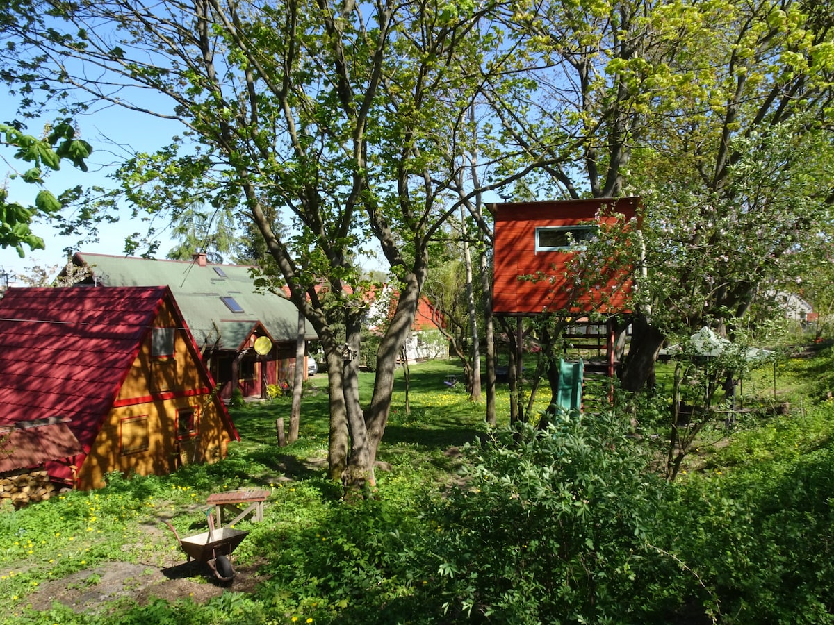 Gizycko-Masuren-Baumhaus-Tinyhaus Seeblick