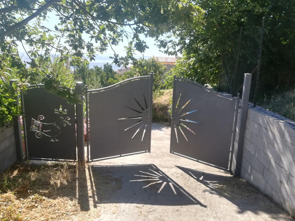 Piazzola per tenda sotto il fico