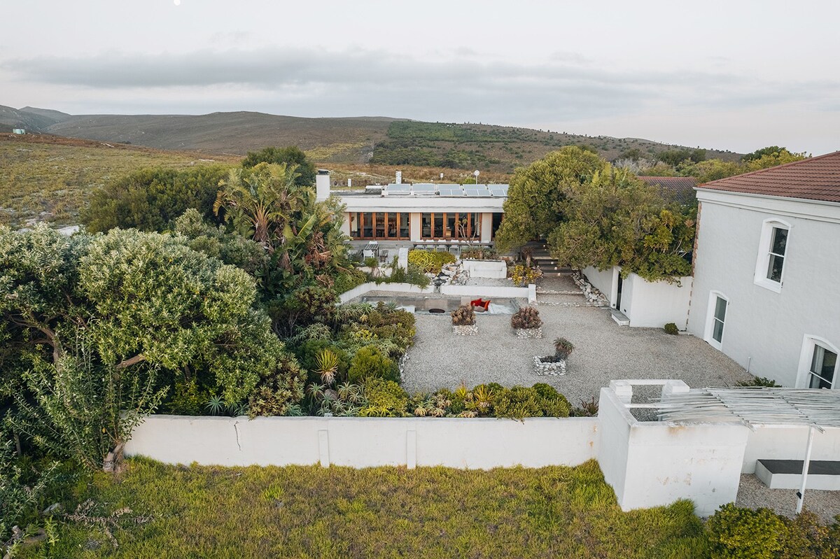 Fynbos Hill