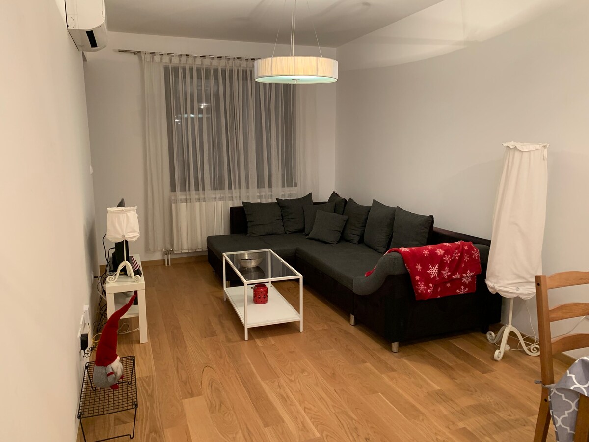 Apartman Spasovdanska