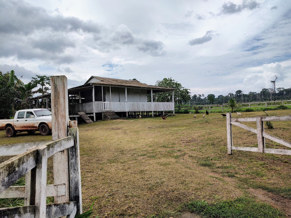 Fazenda Sonho Real