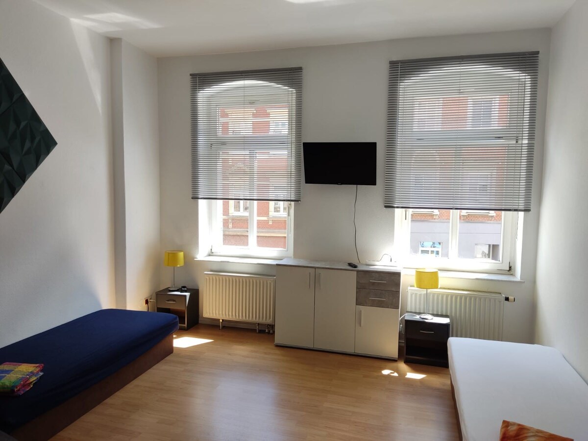 large 2-room apartment in Zwickau (1st floor)
