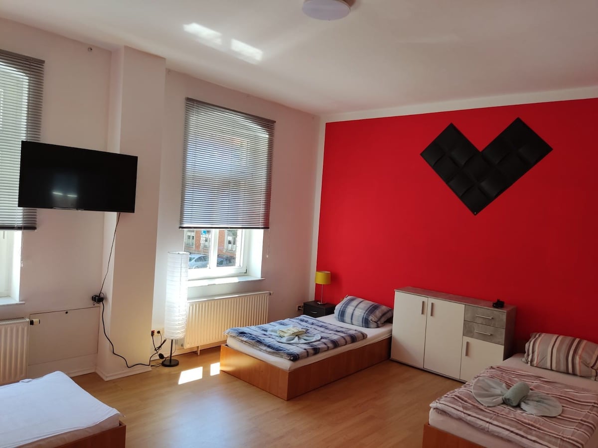 large 2-room apartment in Zwickau (1st floor)