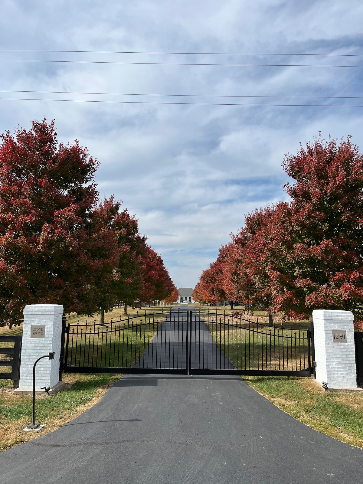 Stone Spring Farm