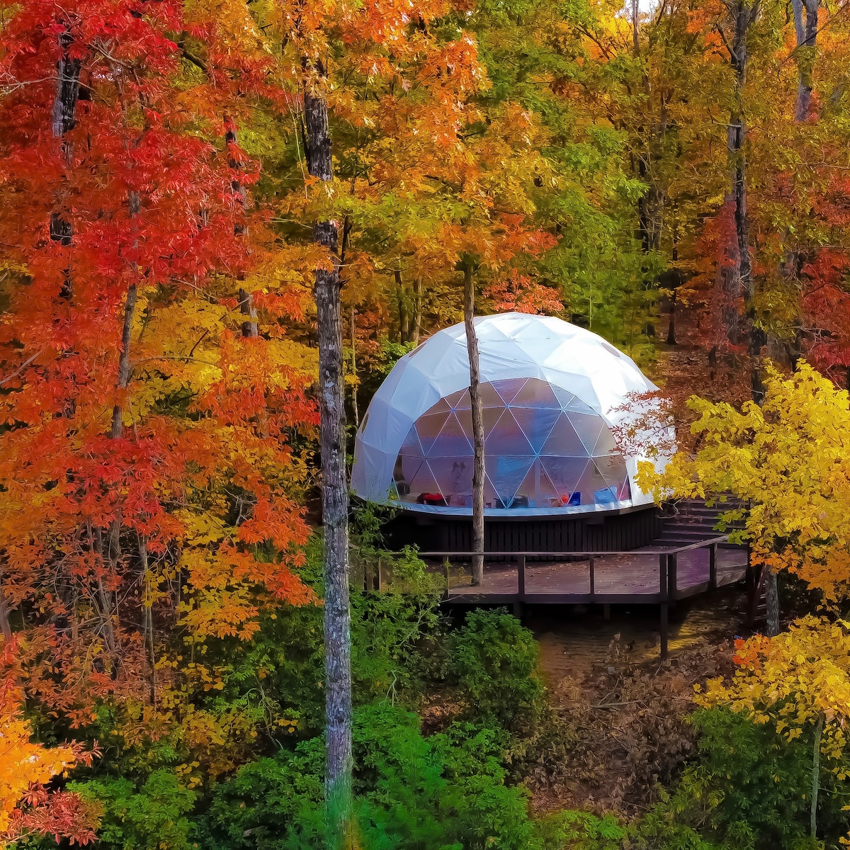 Yonah Go Glamping? Brasstown Geodesic Domeidome Sleep 4