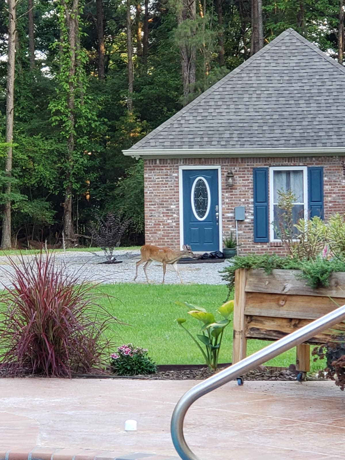 The Guesthouse at Heidi’s Place