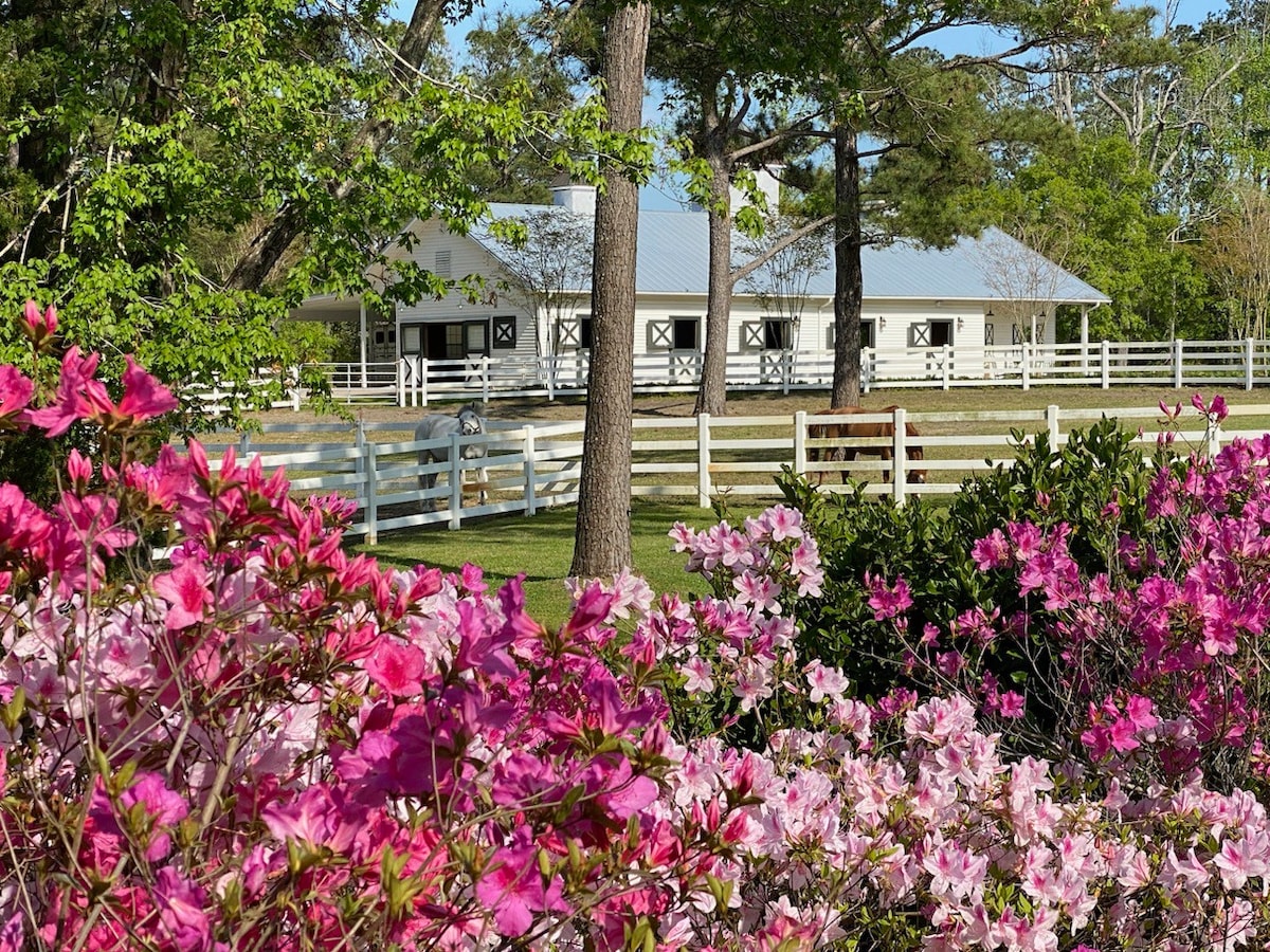 Historic Sycamore Bend Manor