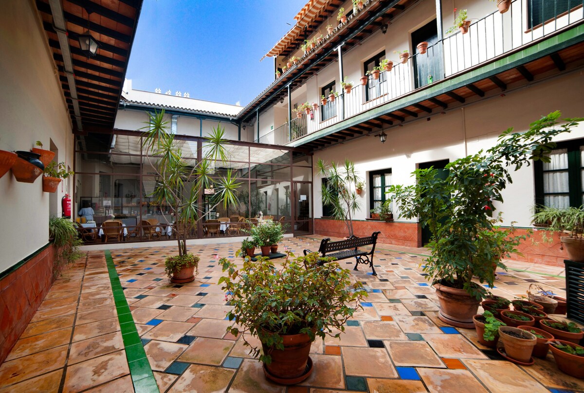 Spacious apartment in spectacular Sevillian patio