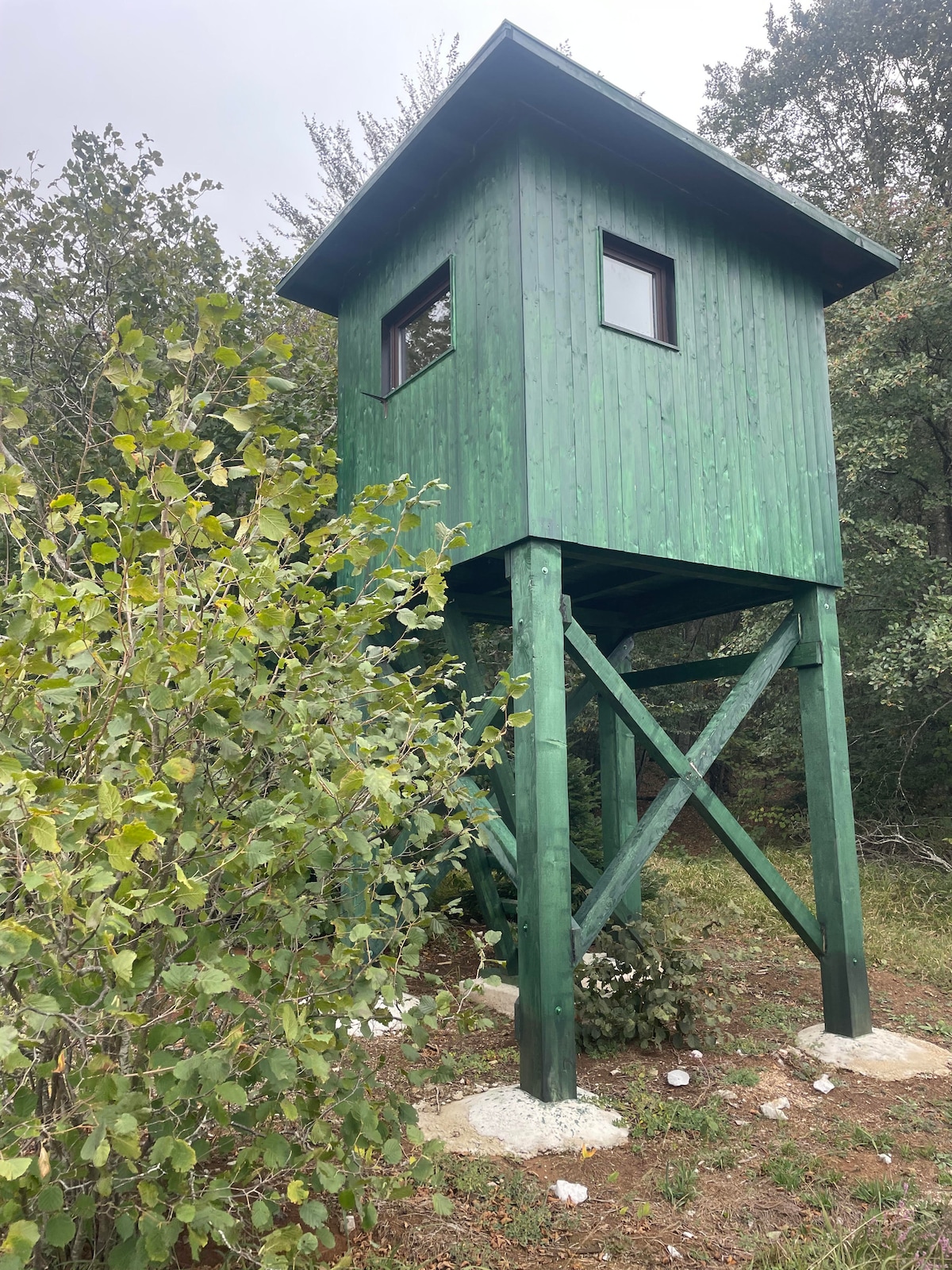 Lodge with Bear & Deer watching