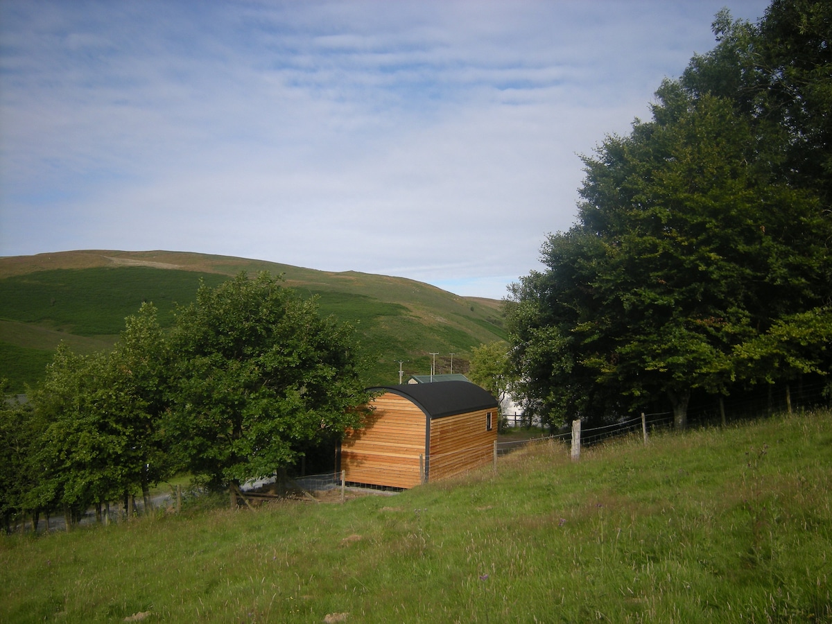Tyncornel shepherd's hut