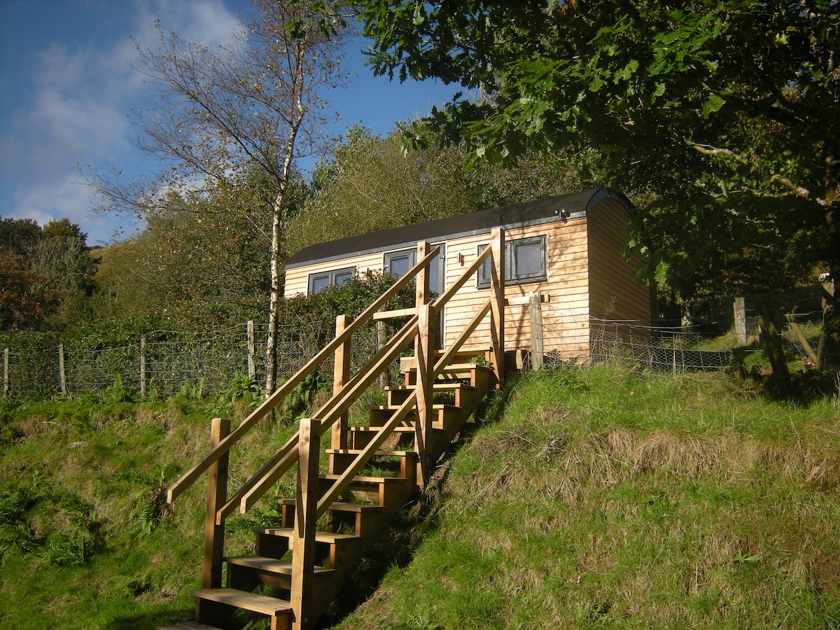Tyncornel shepherd's hut