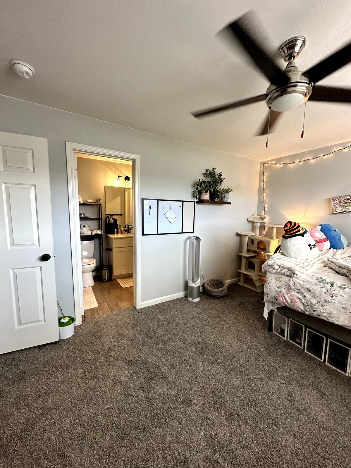 Cute Master Bedroom