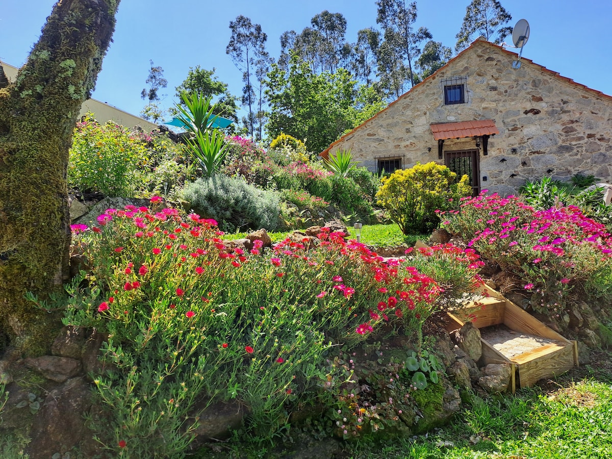 塞德林山坡（ Cedrim Hillside ） - Sever do Vouga