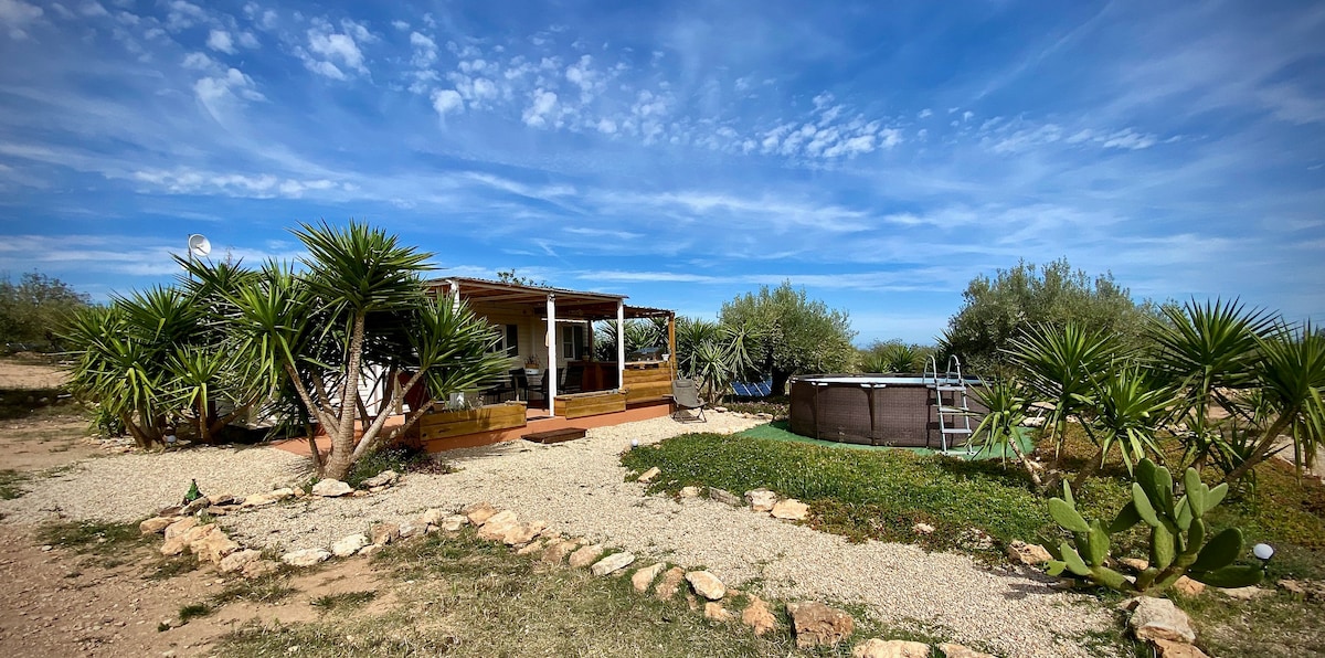 Bungalow entre Olivos mágicos.