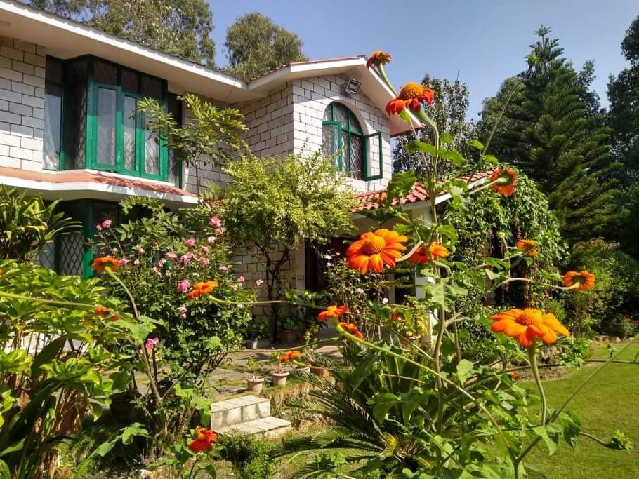 Riverside homestay with mountainview @ Palampur